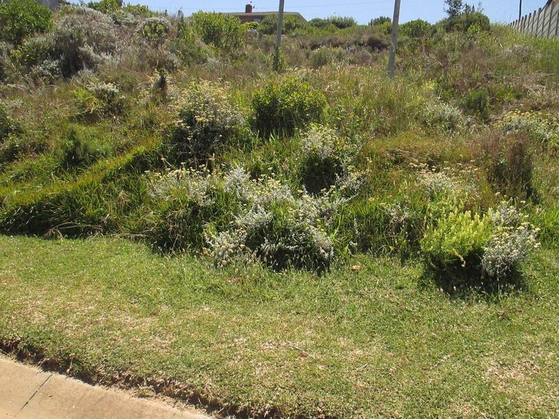 0 Bedroom Property for Sale in Dana Bay Western Cape